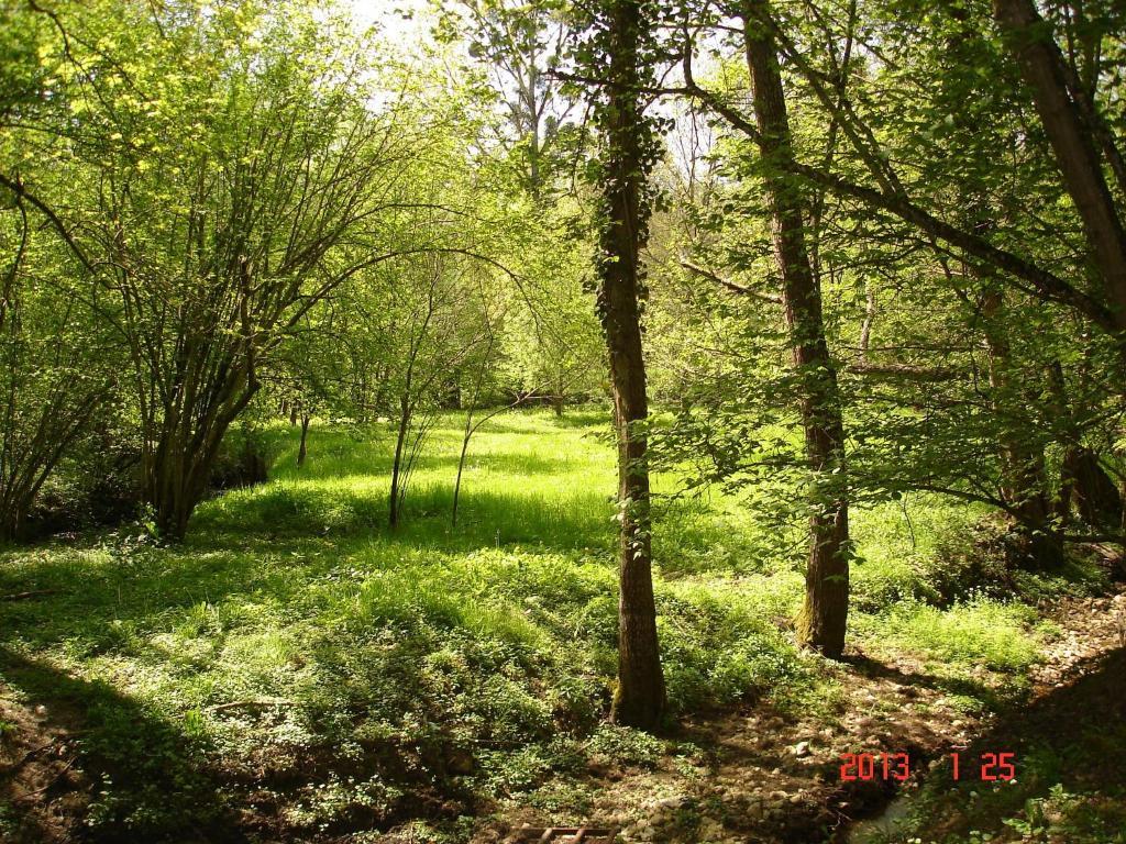 Montreuil-le-Henri Le Moulin De Monternault B&B 외부 사진